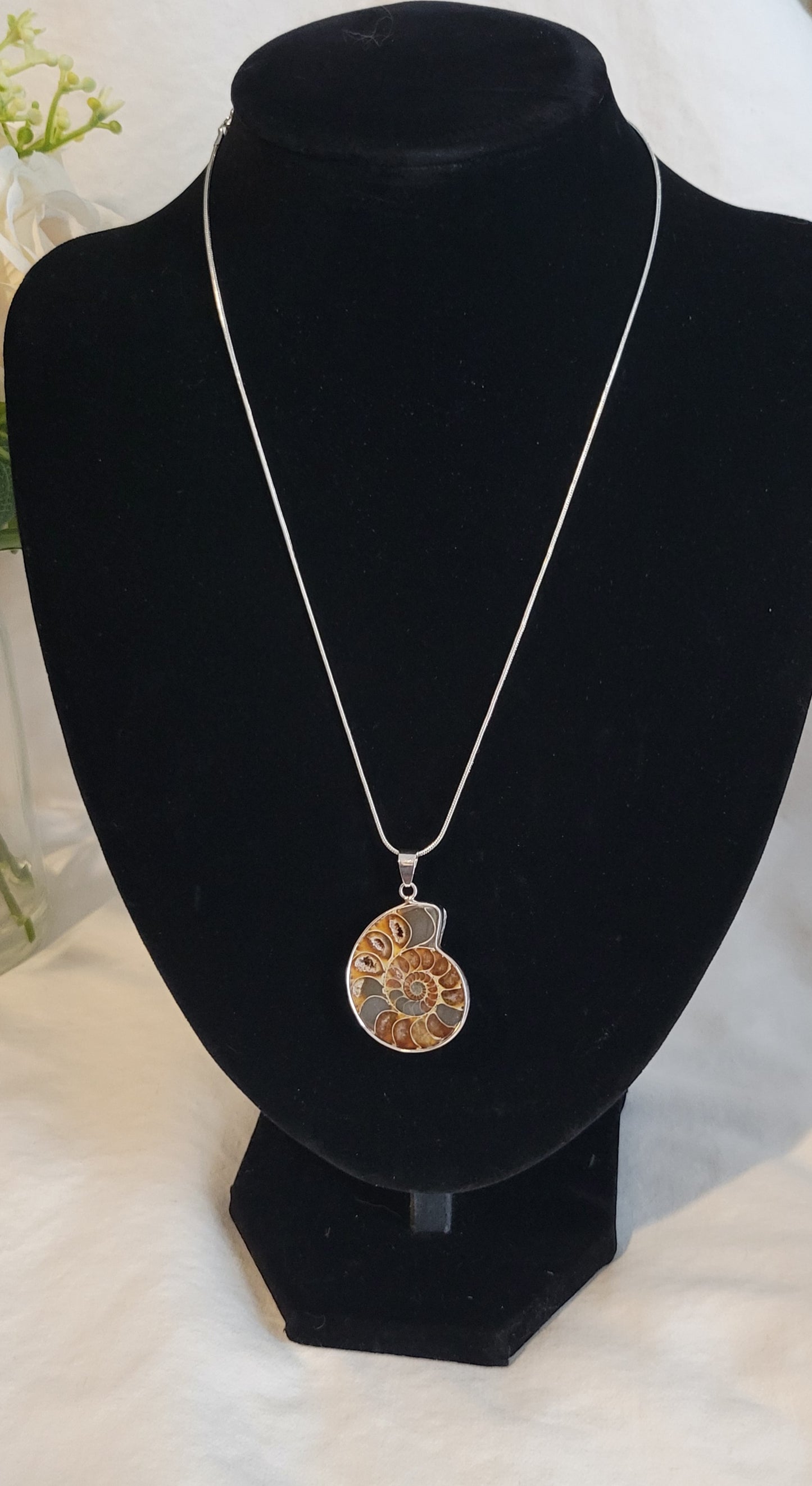 Ammonite Fossil 16" Necklace