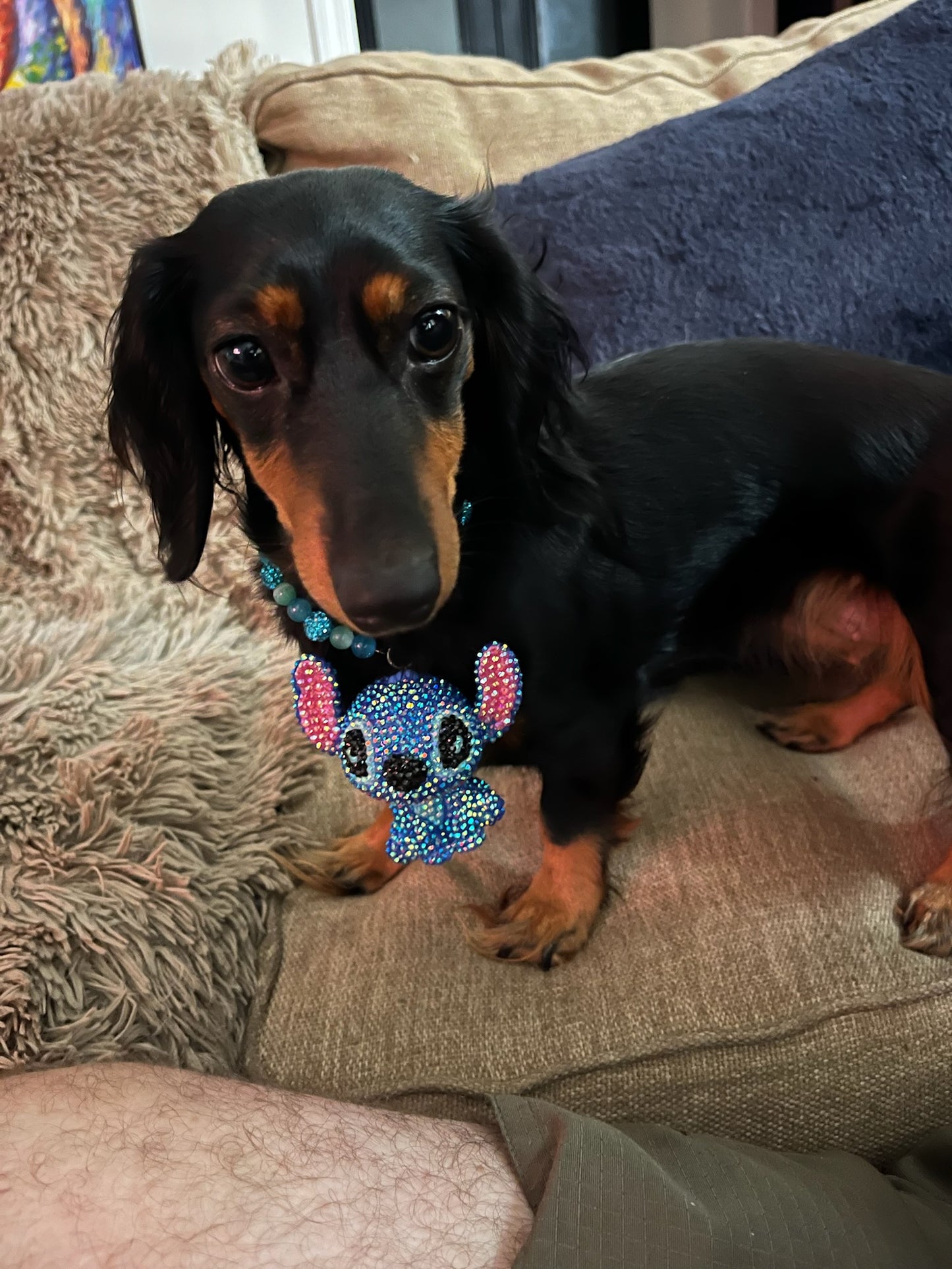 Crystal Phone Chain/Bag Charm/Decor