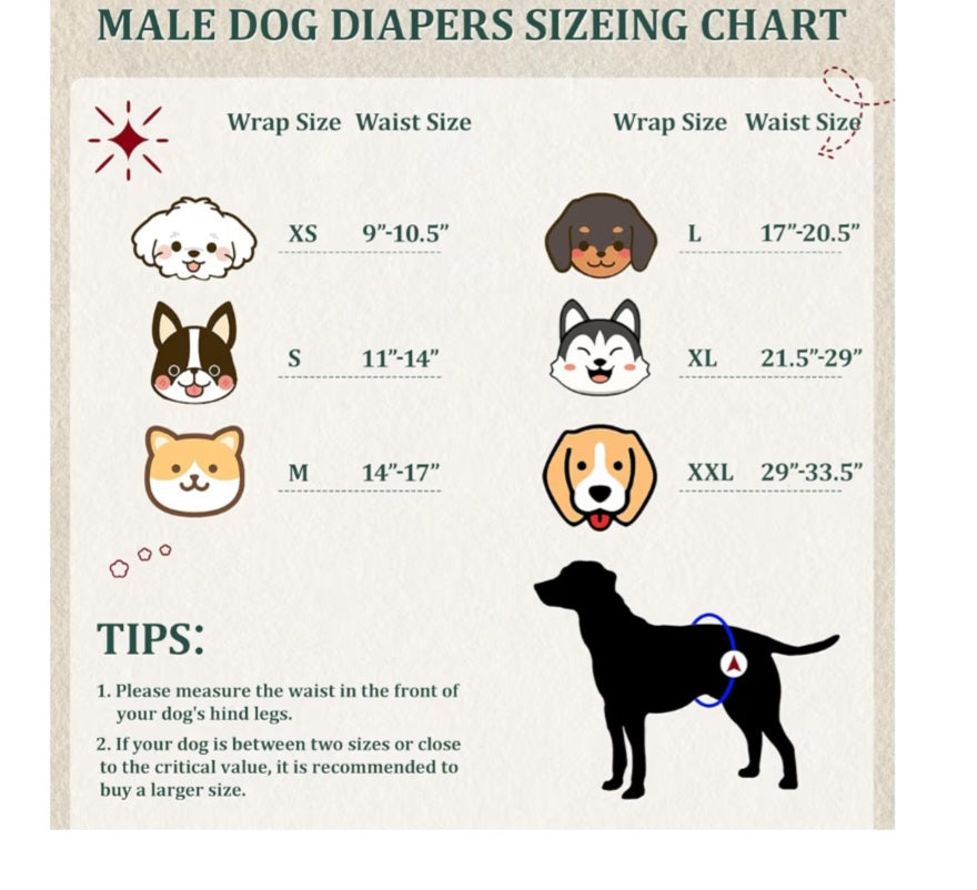Belly Bands for Male Pups