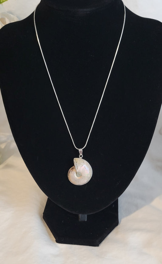 Ammonite Fossil 16" Necklace